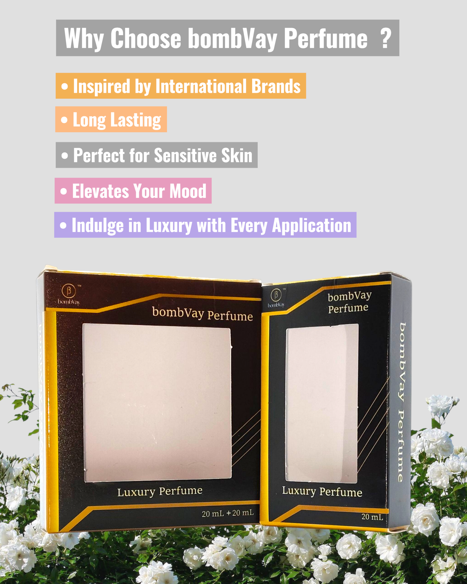 Combo Pack of 4 for Girls